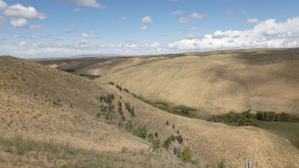 Увс. Баруунтуруун

Элсэн манхан дундаас ундрах Нарийний голын зүүн эх. Элсэн далайг туучин урссаар Увс нуурт цутгана. Шинэс, гацуур, жодоо, хус, улиас, бураа, долоогоно зэрэг модтой. Улаалзгана, тошлой, долоогоно жимстэй,  Алтан элсний дархан цаазат газрын нэгэн үзэсгэлэн юм.
