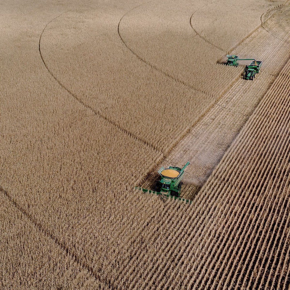 agamerica's tweet photo. “Agriculture is our wisest pursuit, because it will in the end contribute most to real wealth, good morals and happiness.” – Thomas Jefferson https://t.co/XpNVIdnPuY