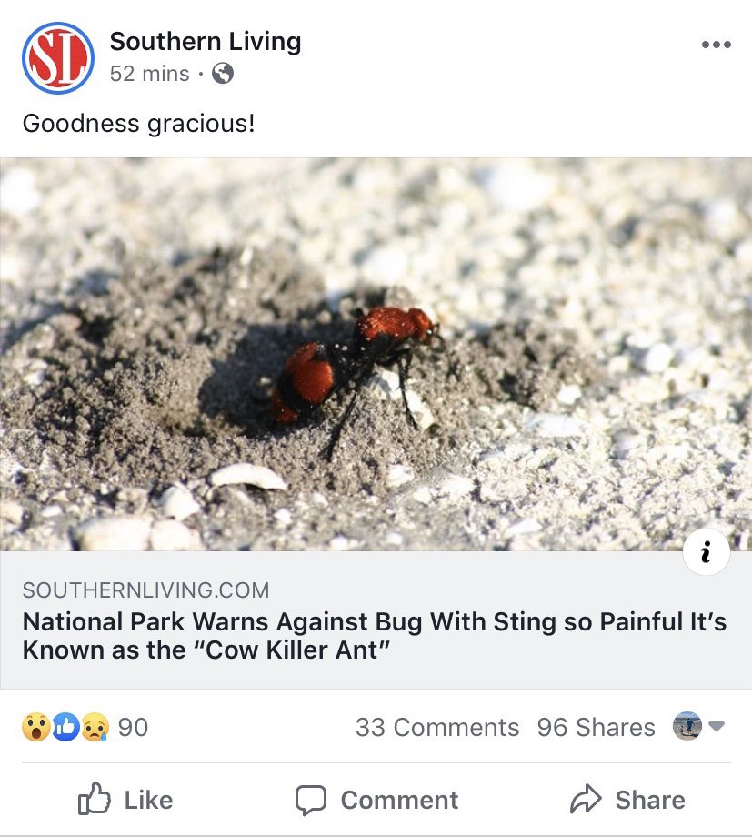 CoachOusley's tweet photo. .@Coach_Kite and myself spotted one of these suckers after practice today. No thanks. π³ https://t.co/9f99vRbNYS