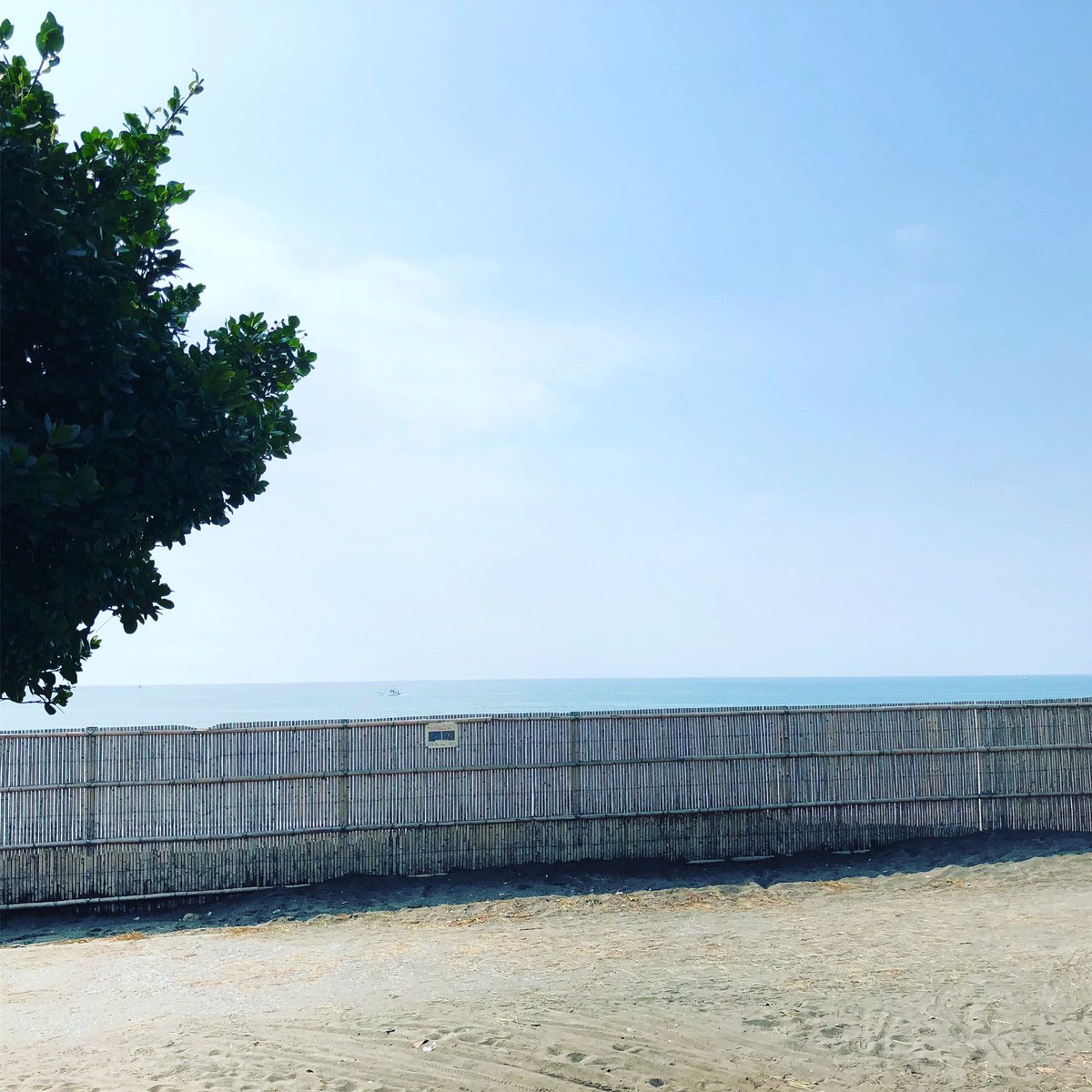 とことこ湘南 おはようございます 今朝も暑い ですが 優しく吹く秋の風 が気持ち良く 日陰になっている海岸線 沿いをジョギングしている方を多く見かけました 海辺はとても穏やかです どうぞ充実した一日をお過ごしください とことこ湘南