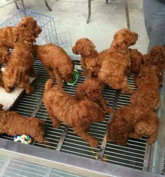 ERINonyourRADIO's tweet photo. My hungry ass thought this was fried chicken for a hot minute......bwaahhhh haaaa haaaaaa https://t.co/yMlUB0aqDu