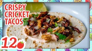 Myf Warhurst tweet media