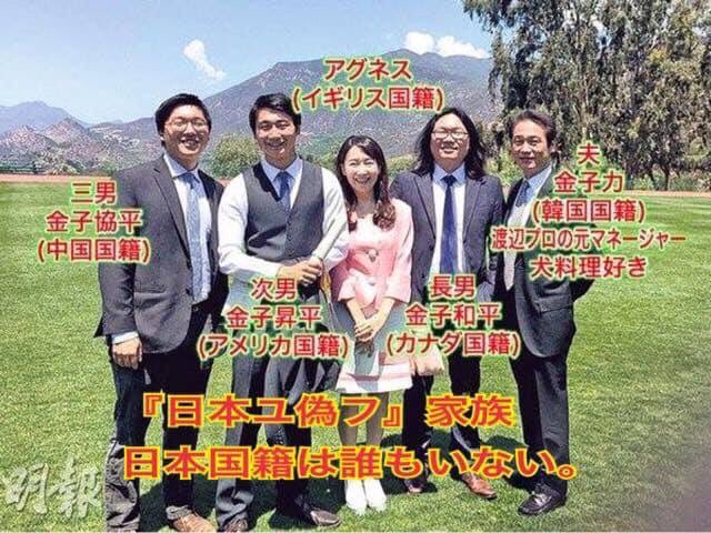 猫幸 タモリがゲストの水原希子に言った 日本 関係無いよねぇ を思い出した 水原希子 本人国籍 父親 母親 名前だけ日本名 この特別利権ってほんと何なの