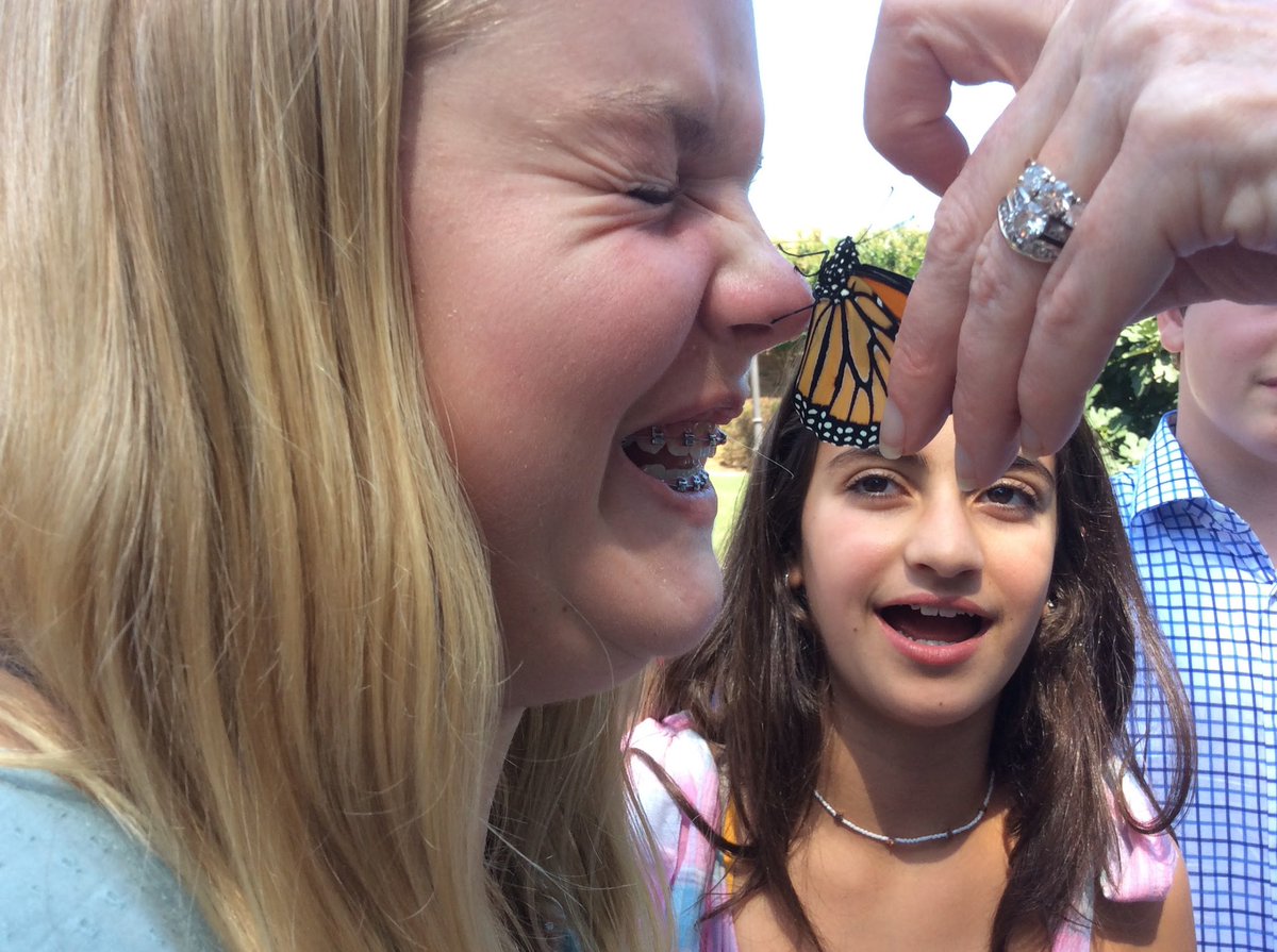 jenijoyner1's tweet photo. CCDS middle schoolers help save monarch butterflies @ccdsnews #savethemonarchs #Monarchs https://t.co/eJ00aiftZo