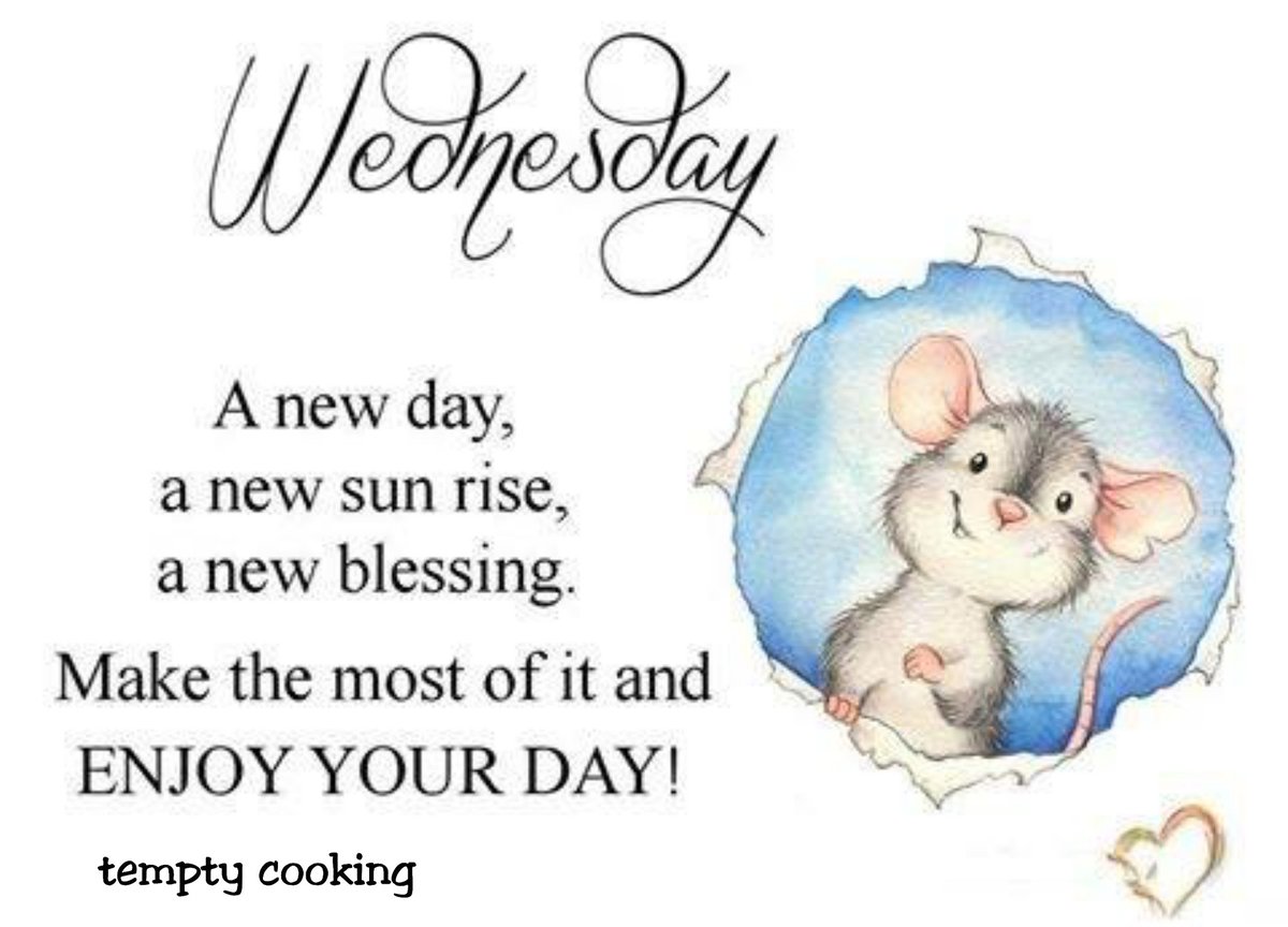 temptycooking's tweet image. It is not how much we have, but how much we enjoy that makes us happy. Have a nice day.
#mornings #morning #goodmorning  #sunrise #breakfast #morningmotivation #like #coffee #work #happy #photography #beautiful  #holiday #good #early #nature #getup #goodday #sun  #MorningVibes