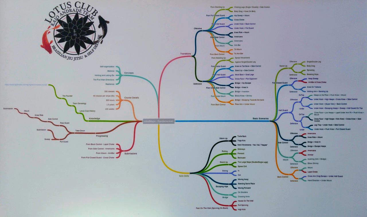 Exploring Mind Maps As A Tool For Jiu Jitsu Development – BJJ Fanatics