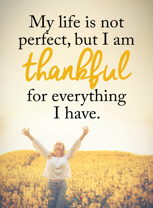 ivanonestop's tweet photo. #THANKFUL https://t.co/osOMw55xvL