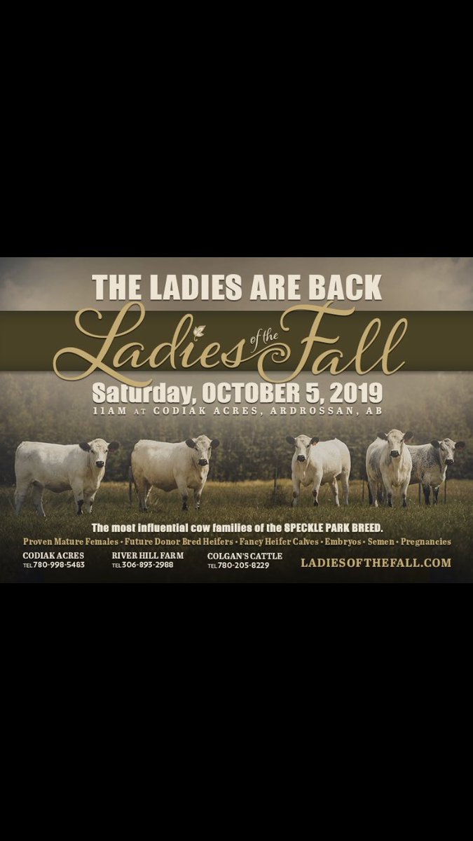 codiakacres's tweet image. Ladies of the Fall I less than a month!