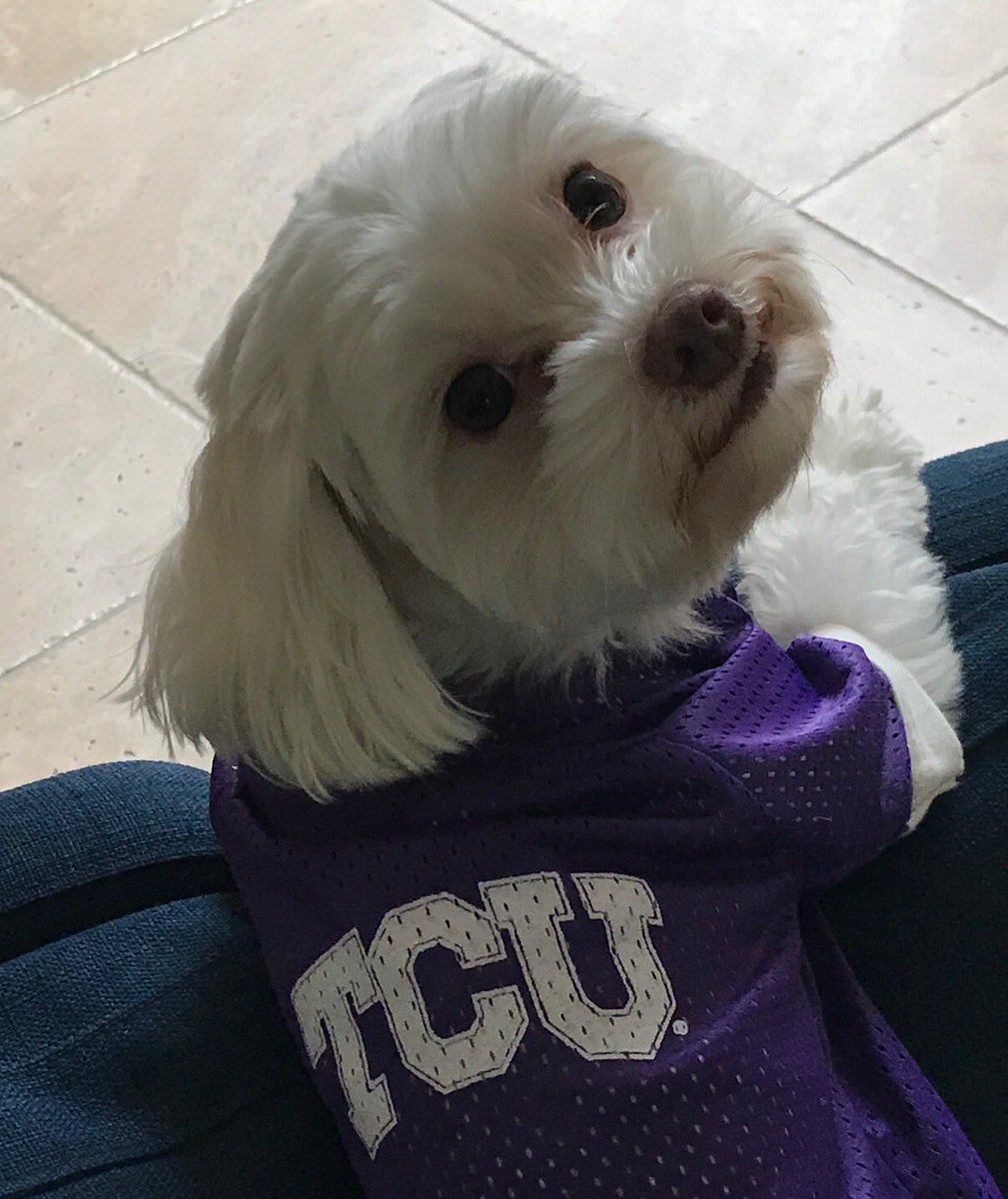 Rob Shapard tweet media