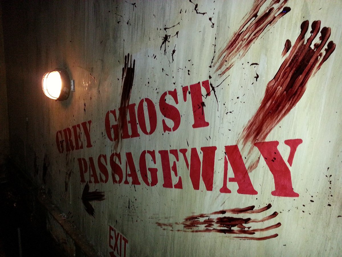 52perfectdays's tweet photo. Learn about the Haunted Stories Behind the Most Haunted Places in America! This list couldn’t be complete without @TheQueenMary via @HealthTravelMom
#hauntedamerica #paranormaltravels #hauntedcalifornia @VisitCA @VisitLB
https://t.co/91FPOZzPB4 https://t.co/Md8YmT90w9