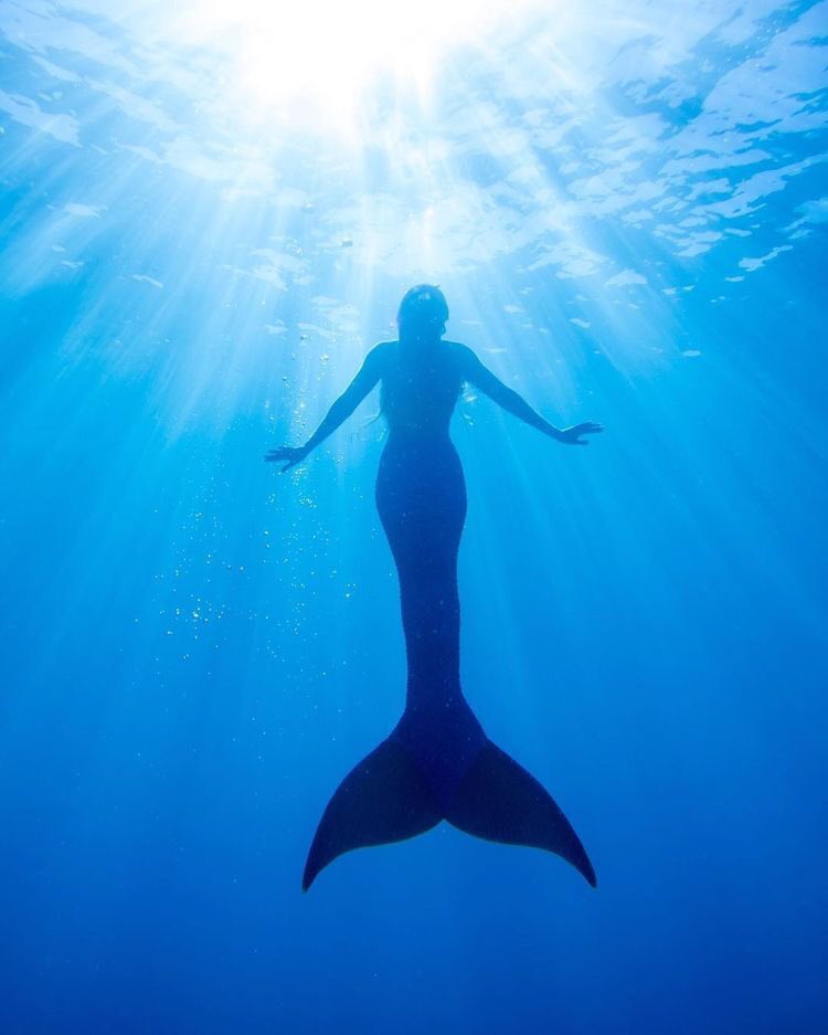 Lista 98+ Foto Imagenes De Sirenas Reales Encontradas Vivas En El Mar ...