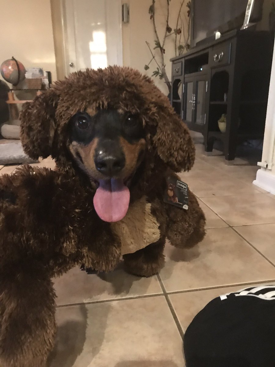 I ams ready for da spooky szn