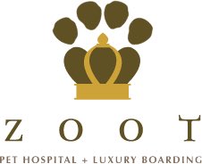 GHSVetAsst's tweet photo. Thank you Zoot Pet Hospital for visiting with Mr. Brown today! Looking forward to seeing a couple of our practicum students working with you all on their skill! #EFND #buildingcommunityrelationships #CVA @ccmrgisd @GISD_CTE @georgetownffa @GeorgetownHS @APShrek https://t.co/hXIUfpF0s6