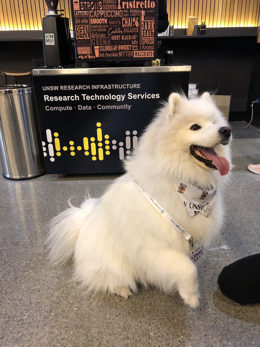 JoanneGladding's tweet photo. Learning all about research data management... plus how to grow extra fluffy hair today at #ResBazSyd with the Jasper the #unswdog https://t.co/Kd6dFgnrmn