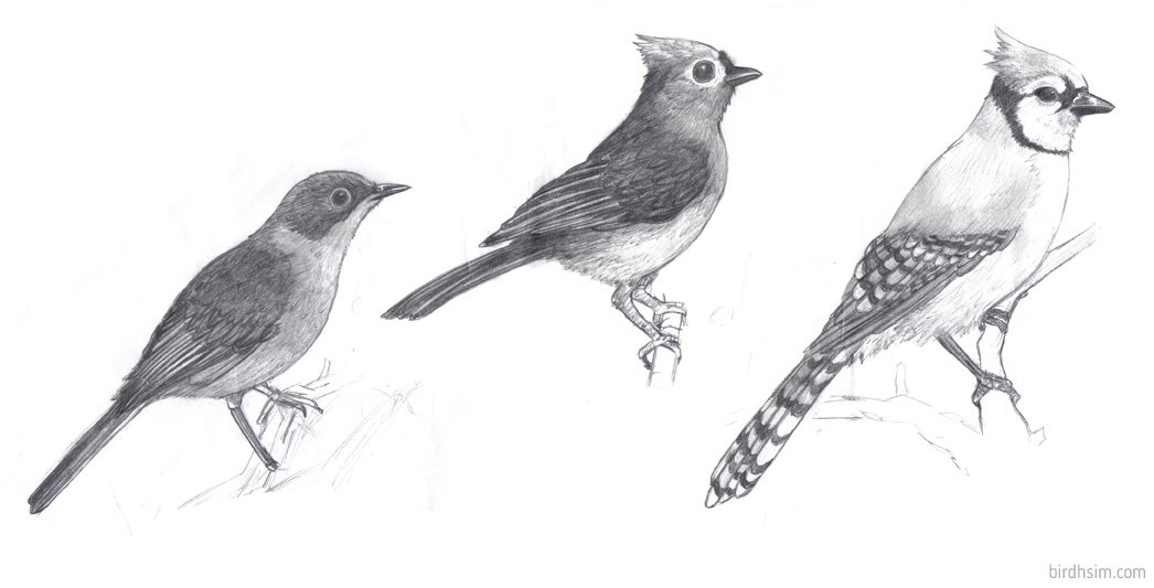 #4styles I can do realism, kawaii, and somewhere in-between. 