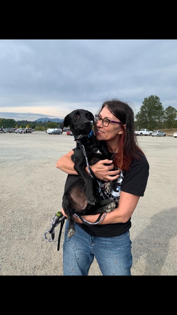 thankdogiamout's tweet photo. Something for everyone - Puppers ranging from 6lbs to 40lbs , 6 months to 12 years #ApplyToAdopt this week and have your new family member Sat Sept 21 @ #Save40dogs @thankdogiamout https://t.co/eVMMdSW0Wp