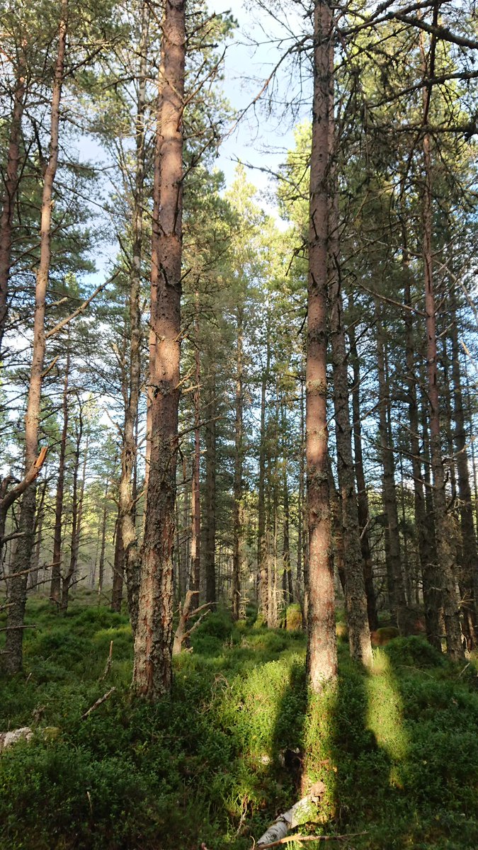 able2adventure_scotland (@able2adventure_) on Twitter photo Please share our FREE bushcraft and orienteering sessions for disabled children and their families. Next week in Glenmore Forest. September 16th and 17th. <a href="/HChildrensForum/">HCYPF</a> <a href="/dsuksnowsport/">Disability Snowsport UK (DSUK)</a> <a href="/HighlandCouncil/">The Highland Council</a> <a href="/SenseScotland/">Sense Scotland</a> Please share our FREE bushcraft and orienteering sessions for disabled children and their families. Next week in Glenmore Forest. September 16th and 17th. <a href="/HChildrensForum/">HCYPF</a> <a href="/dsuksnowsport/">Disability Snowsport UK (DSUK)</a> <a href="/HighlandCouncil/">The Highland Council</a> <a href="/SenseScotland/">Sense Scotland</a>