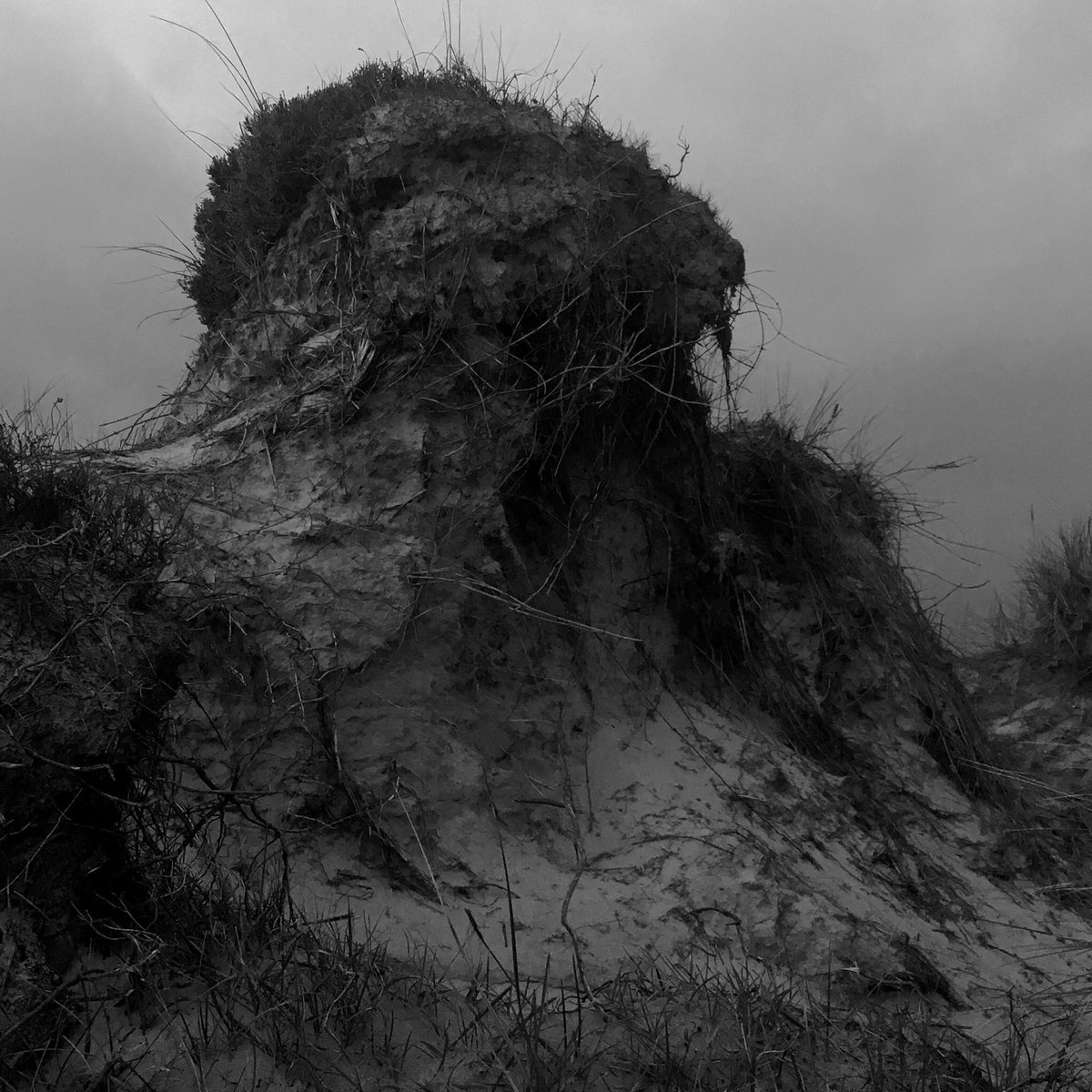 McBride_eek's tweet photo. The personal project of Ossian myths and Fingal heroism. At a bleak @FindhornFound this morning. As part of the travel I’ve been to Bray.Slack.Yellowcraigs.Ballantrea.Carnac in Scotland,France,Belgium &amp; Holland. https://t.co/Y6ujnqELYm