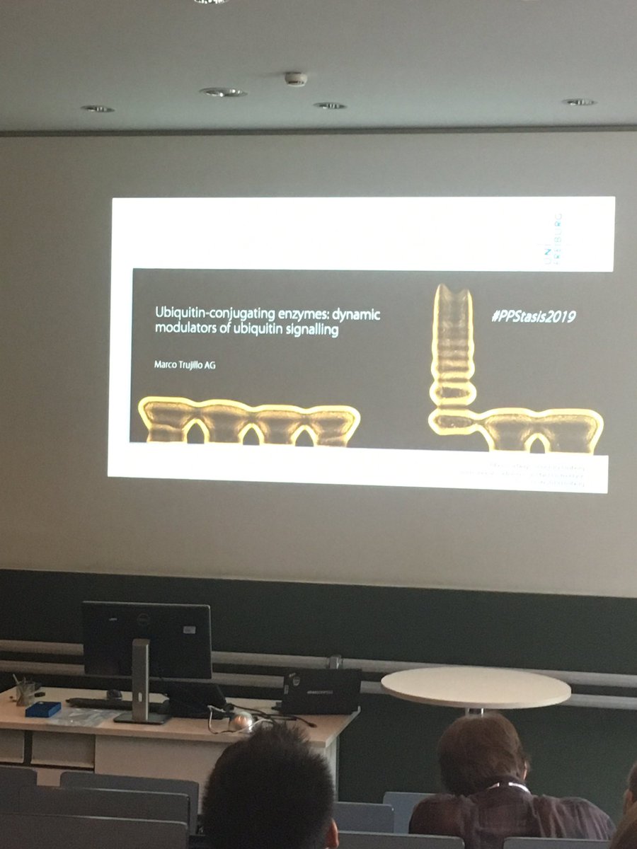 PlantoPhagy's tweet photo. Now @TrujilloLab talking on E2 enzymes, their specificity and their role in proteostasis #PPStasis2019 #Ubicode https://t.co/Zc9DAhn2VH