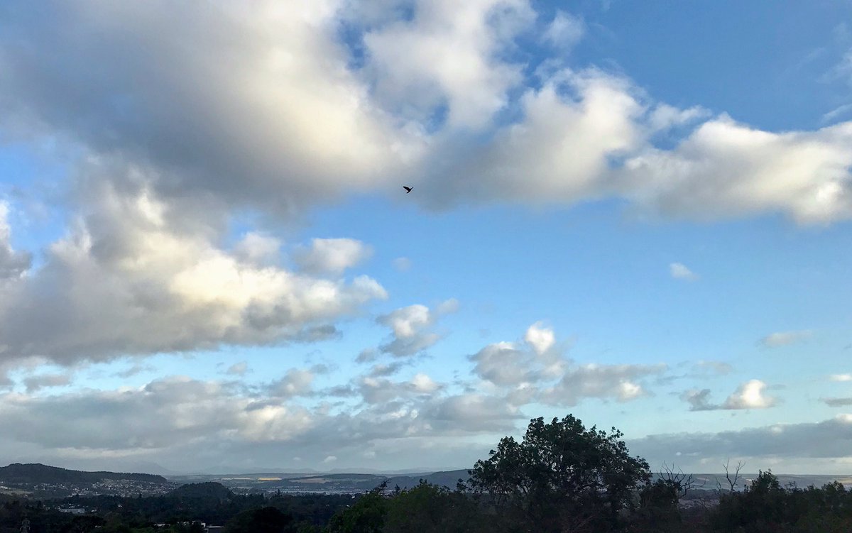 cloudymamma's tweet photo. Typical...dog walk in the rain showers and back home to blue skies and lovely sunshine...timing wrong🤦🏼‍♀️ Have a wonderful Wednesday! #WednesdayWisdom #11thSept #ScottishHighlands https://t.co/8oc9nltbky