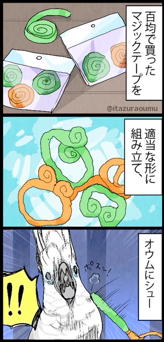 工夫して遊んでます。ジョリジョリ
＃いたずらオウムの生活雑記 