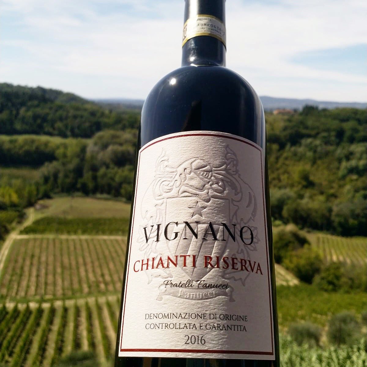 VignanoVineyard's tweet photo. It’s not everyday that we get to show you a new bottle of our wine, but welcome to the world Chianti Riserva 2016. We are super excited to have you in the world! #new #wine #organic #chiantiriserva #tuscany https://t.co/o3VCgC1Q9O