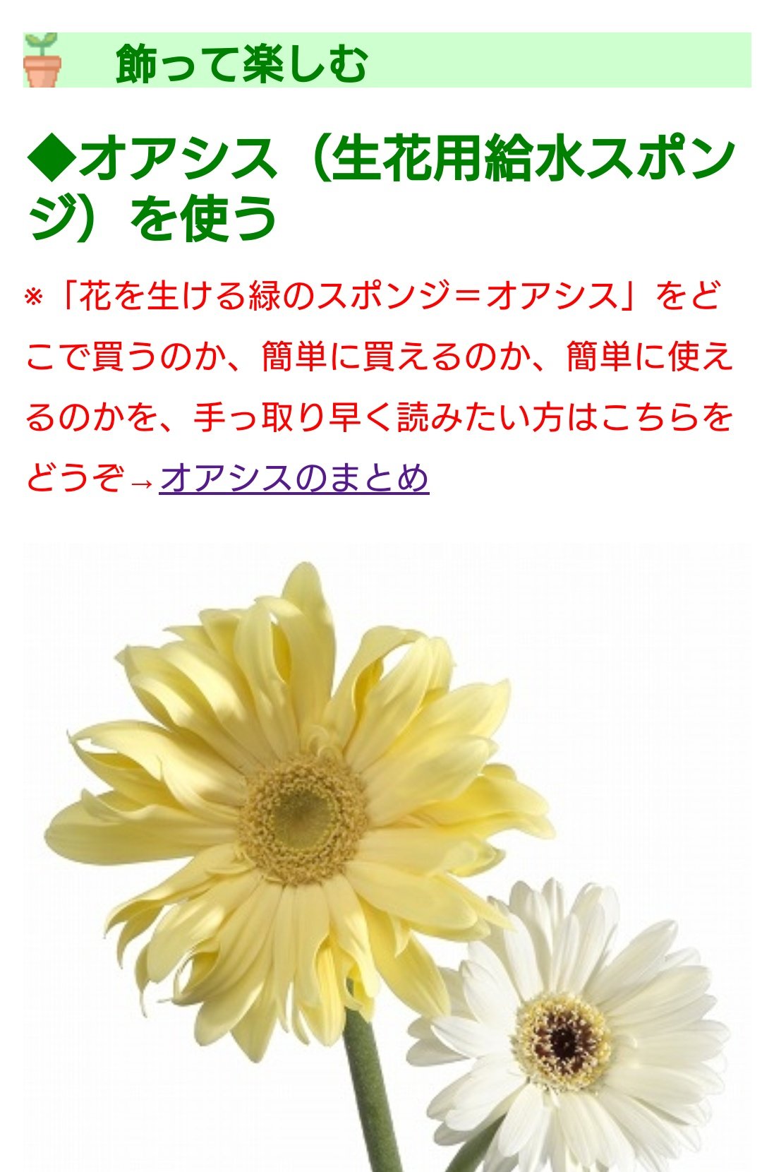 みどりや店長 育休中 仙台花屋 Pa Twitter お花の事について色々と詳しく書いてある面白いサイトを見つけました T Co Poerzgirhl