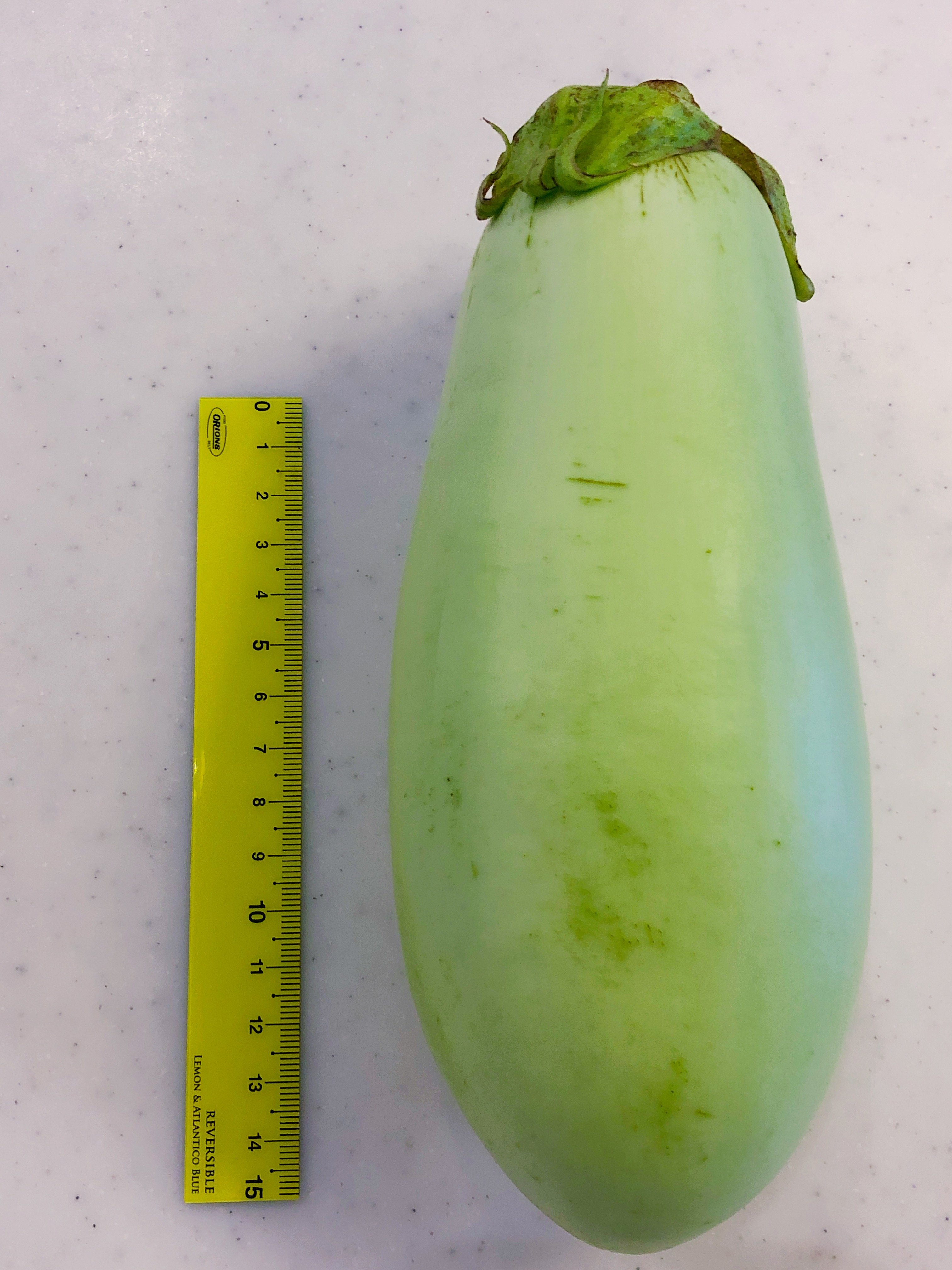 みなとのごちそう野菜 狩留家なす かるがなす 広島県 アクが少ないので 新鮮なものは生食でもokです 甘味を感じます 一般的ななすよりも柔らかく 手にすると少しフワフワ感があります 白なす系の特徴でもある 加熱するとトロトロでとても
