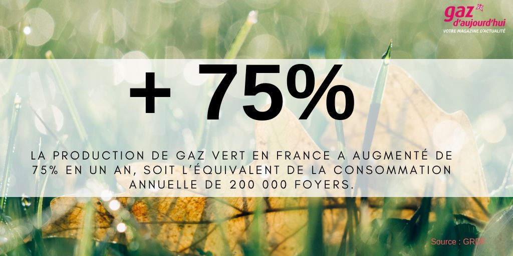 Gaz d'aujourd'hui tweet media