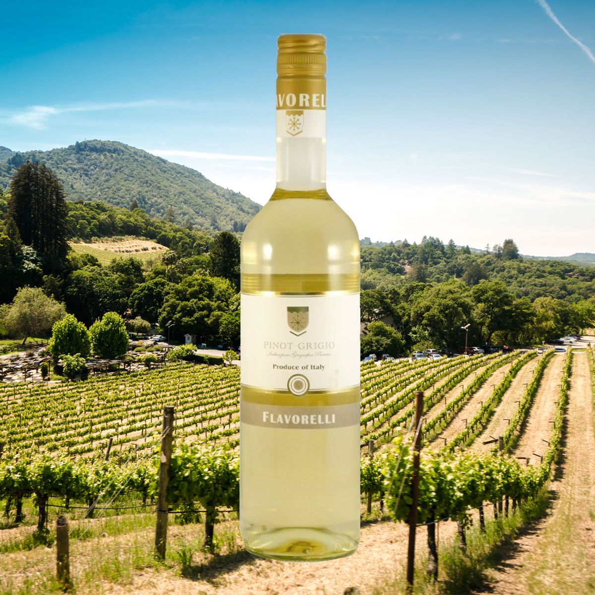 You lot are loving this Flavorelli Pinot Grigio from Italy at the moment and stocks are getting low! Make sure you don't miss out and grab yourself some bottles >> buff.ly/2A48gri #WineWednesday