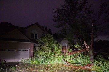 View image on Twitter