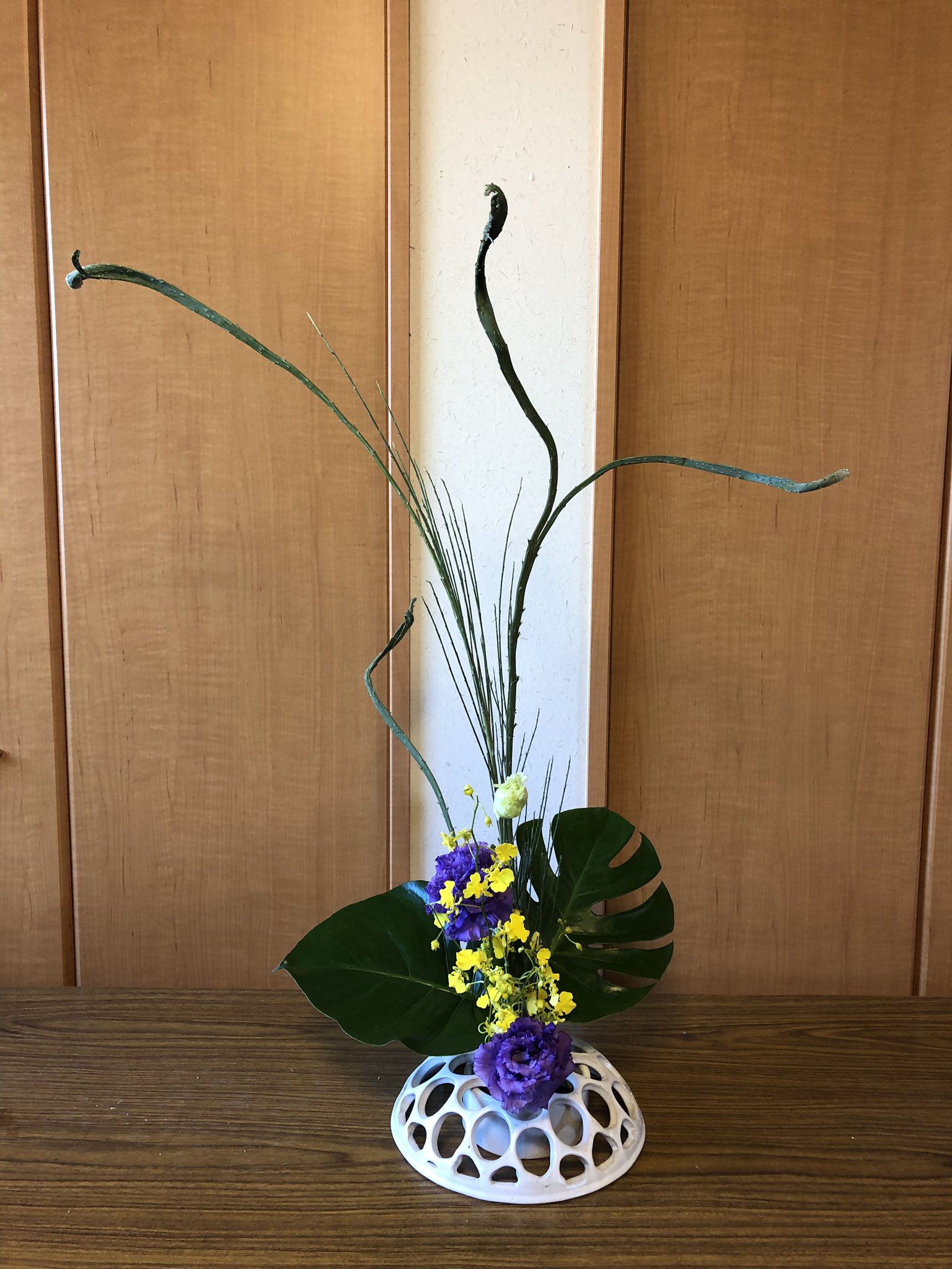 サイカン Sur Twitter 今週の生け花 タイトル 踊ろうよ 今週の生け花 石灰エニシダ 紫トルコキキョウ オンシジューム モンステラ 自由花 花のある暮らし 生け花男子 生け花芸人 華道 池坊 花は人なり T Co 79cawlixvm Twitter