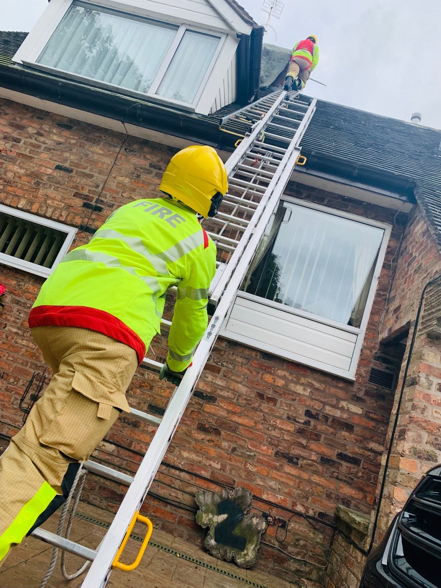 CheshireFire's tweet image. It looked like it could be a dark night for an owl who was stuck in a chimney in Knutsford. The feathered one was released by @LymmFS, and the @RSPCA_official to-witnessed the rescue before taking the owl into their care.  

For more details - socsi.in/QGgFs