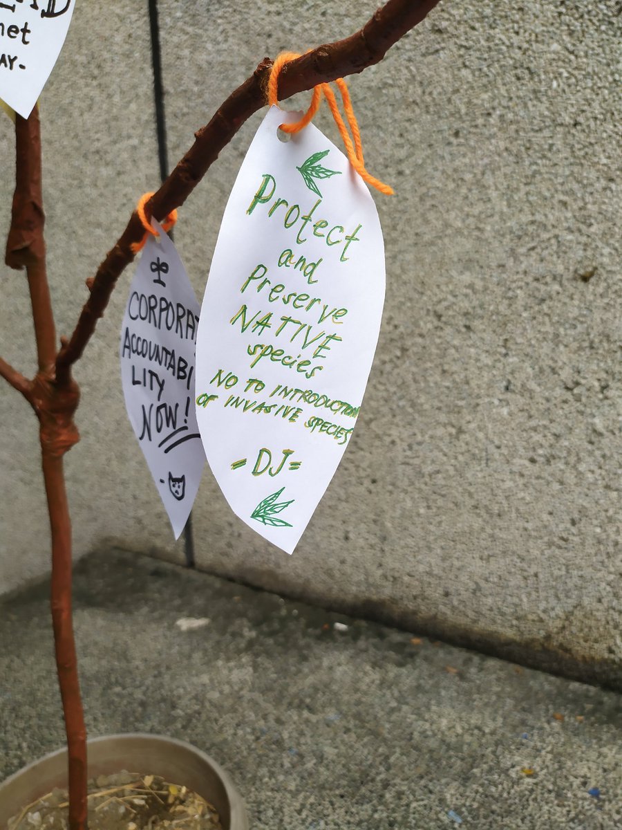 AghamYouth_UPD's tweet photo. The youth demands the protection of the environment!!!

Pass by the CS Library and add a leaf to our Tree of Action🍃🌳! Be one with the fight for our home 🌏.

#ClimateJusticeNOW
#DefendOurForests https://t.co/5p4ulJvdSf