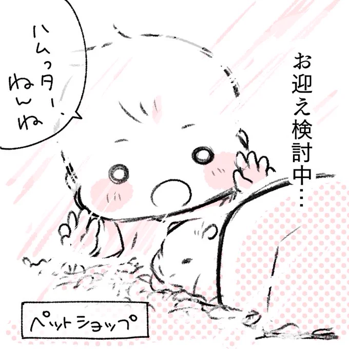 ついに!スーパーセールで!!ケージをポチりました!!!が、いつお迎えするかは全くの未定です...
#ハムスター 