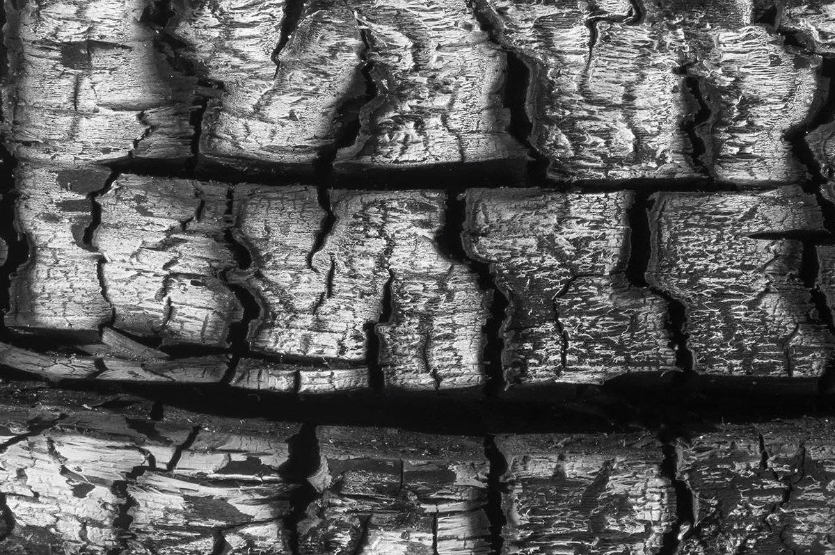 robstract33's tweet photo. 3 from #burntbeachwood series ... I like the #texture , #lines  &amp; #shapes found in these ...
 #abstractphototgraphy
 #minimalism
 #blackandwhitephotography 
 #photography 
 #beaches 
 #beachwood https://t.co/ppJ39ccA03