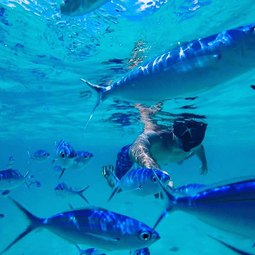Another perfect day in the Maldives ☀️

#Maldives #SeeTheBiggerPicture #yasawaprincess #cruise #Travel #VisitMaldives #underwaterphotography #tourquoisewater #beautifulmaldives #snorkeling #vacaymode #gopro

📷 shampzz