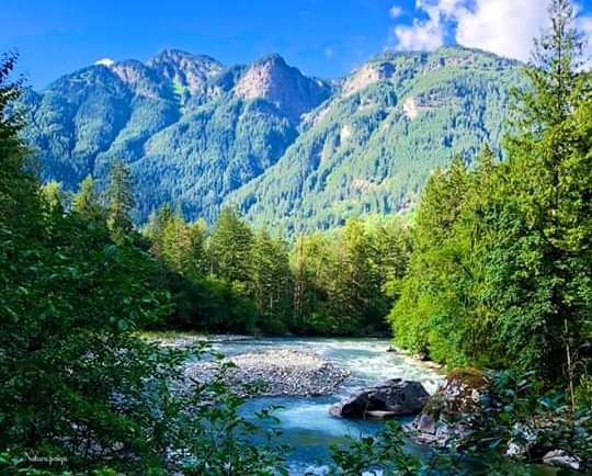 MrsShibani's tweet photo. #NATURE https://t.co/wPt1zBfrMI