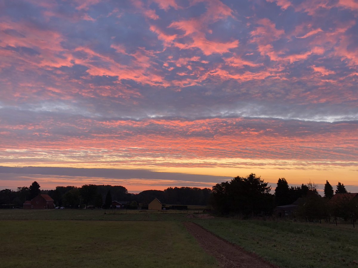 RoosTante's tweet photo. It’s gonna be a beautiful day 🦋 

#dezeven https://t.co/An1Zz9Yirf