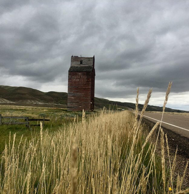 mschloeherman's tweet photo. Wishing I had brought my camera with on my drive today.. 😍  #ruralalberta https://t.co/WvGIaig352