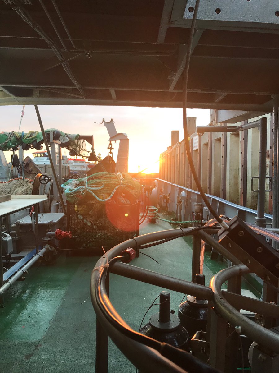 HelmholtzMoses's tweet photo. A beautiful morning to start the second day of joint measurements. 
#MOSESresearch
 @HZG_de @AWI_Media @GEOMAR_de @UFZ_de https://t.co/ELXtT74JxC