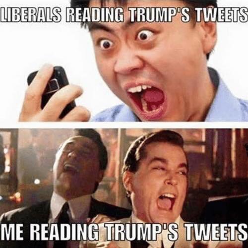 perfect_storm45's tweet photo. @yanayboayue @realDonaldTrump https://t.co/yzejNn1P7n