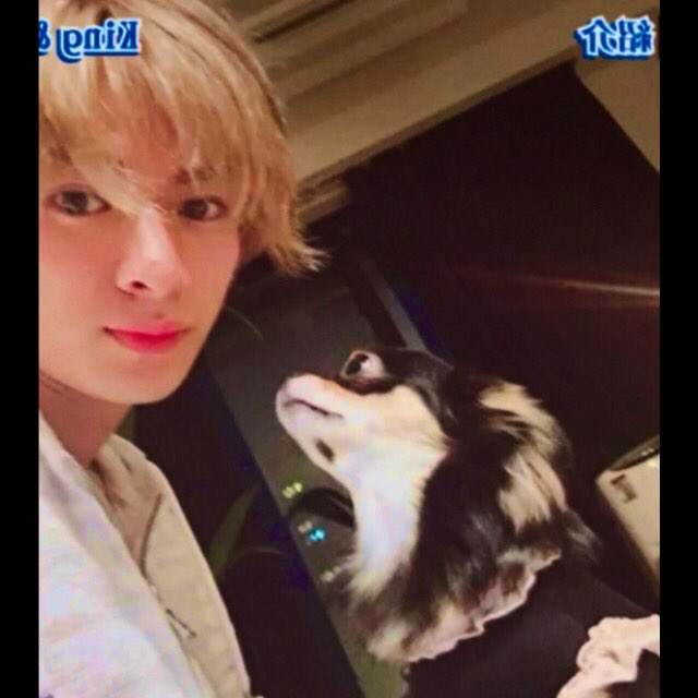 チワワが5匹のうちの同じ子ちゃんかな？ こんなに近くで、こぼれそうな