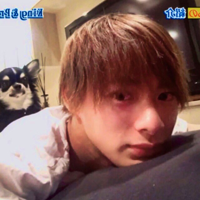 チワワが5匹のうちの同じ子ちゃんかな？ こんなに近くで、こぼれそうな