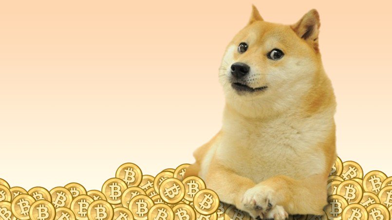 vasi_i_am's tweet image. blockchainapi.org/blog?article=91 - HOW DOGECOIN WORKS AND HOW TO USE IT? - #blockchainapi.org #CryptocurrencyNews #Crypto #Bitcoin #Litecoin #DashCoin #Dogecoin #HODL #Altcoins