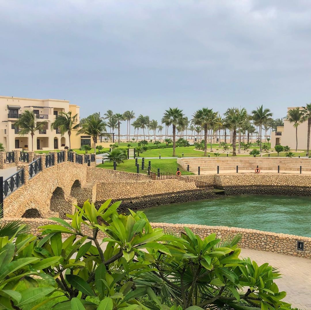 Rotana_Hotels's tweet photo. Today's forecast, palm trees and ocean breeze.
#InOman #StayRotana https://t.co/WPicI5PZRk