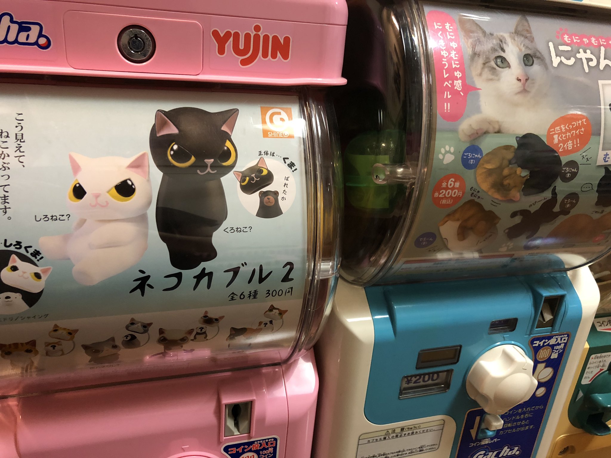 猫カフェねこまんま 今現在のガチャガチャのラインナップ 新作入りました 猫カフェねこまんま ガチャガチャ がちゃがちゃ 猫ガチャガチャ 猫がちゃがちゃ T Co Jbhpbsbjrs Twitter