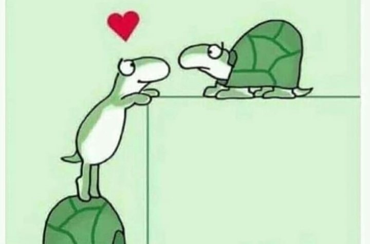 CaritoDelSure's tweet photo. No hay obstáculos para el amor bueno!!!

No hay excusas!!!

Hay que trabajar para rodearse de amor ...

Puro amor del bueno  para Usted...

#FelizMiércoles TL🍀 de mí ♥️ https://t.co/RSZBRGgYMH
