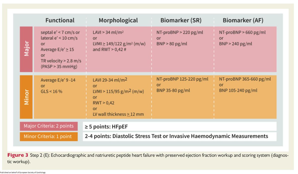ESC_Journals's tweet photo. How to diagnose heart failure w/ preserved ejection fraction: the HFA–PEFF diagnostic algorithm. A consensus recommendation from the Heart Failure Association of the European Society of Cardiology https://t.co/n9VOls5ITE

 @escardio @TomLuscher #EHJ #ESCYoung #cardiotwitter https://t.co/o6KjgbmyEa
