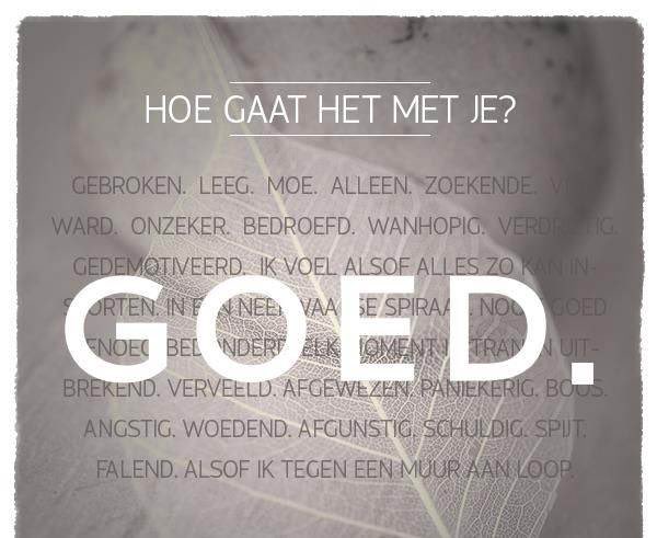 HowieTheHarp's tweet photo. Hey hoi, hoe gaat het met je? https://t.co/9CnK2pHnvA https://t.co/hih3Jn8raV